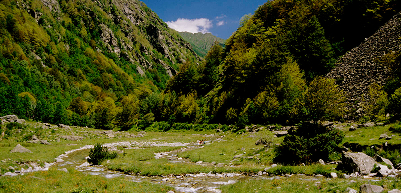 Chalets Epicure - Impasse La Sapinière 66210 - Pyrénées 2000 - Bolquere