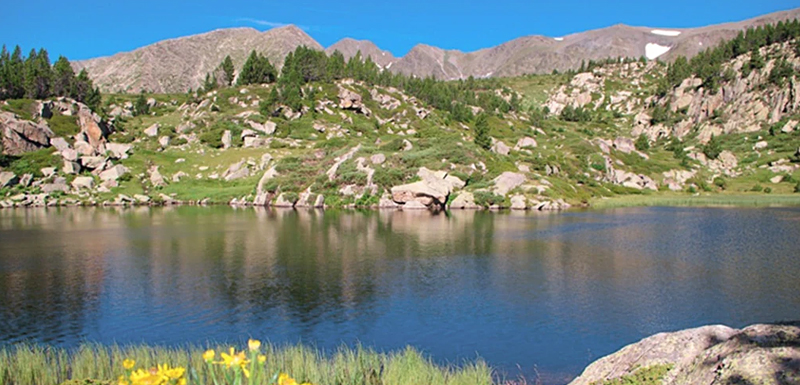 Chalets Epicure - Impasse La Sapinière 66210 - Pyrénées 2000 - Bolquere